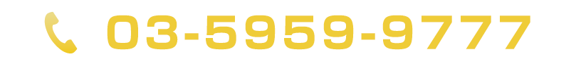TEL:03-5959-9777
